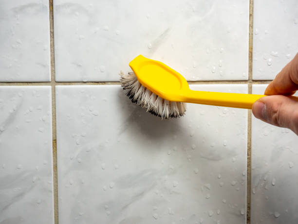 Best Same-Day Mold Removal  in Tuckahoe, NY