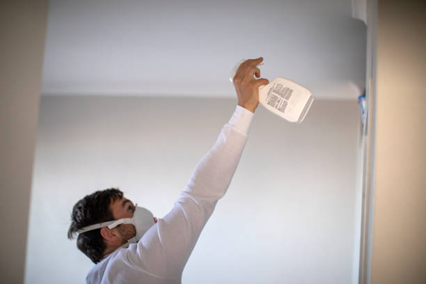Best Mold Removal Process  in Tuckahoe, NY