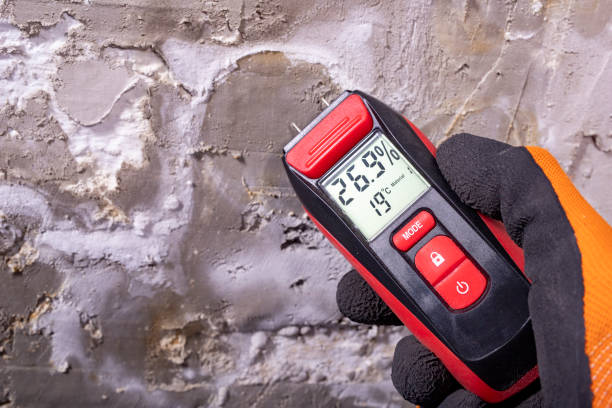 Best Mold Testing  in Tuckahoe, NY