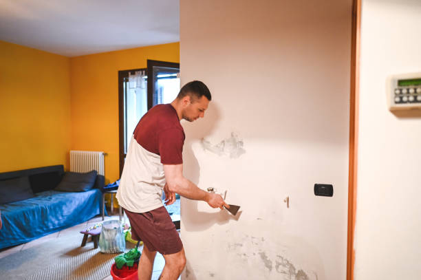 Best Mold Inspection  in Tuckahoe, NY