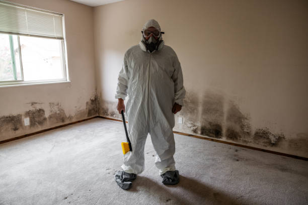 Best Fast Mold Removal  in Tuckahoe, NY
