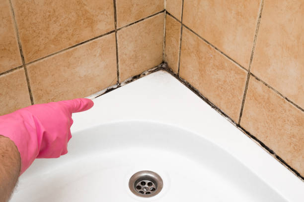 Best Professional Mold Removal  in Tuckahoe, NY